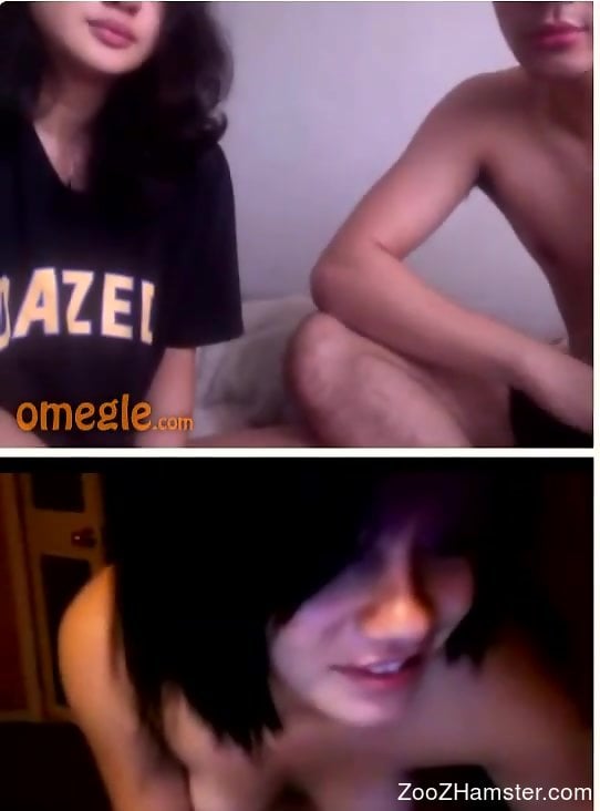 Hot Omegle couple watching bestiality happily