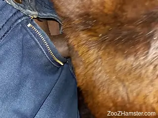 Guy fucking a beast with his oversized dick here