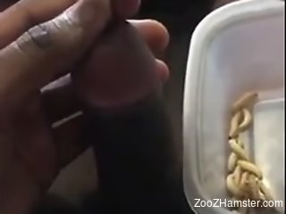 Solo make likes inserting worms in his penis during jerkoff