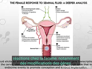 Educational video on bestiality and hard fucking