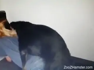 Ripped pants hottie getting fucked by a black dog