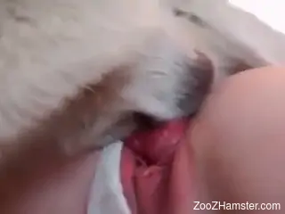 Hot lady in white undies getting fucked by dog