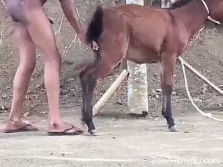 Dude looks horny as he fucks the sexy animal
