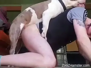 Slutty dude with an edgy hairdo gets to bottom