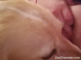 Sexy lady lets the dog eat her out with passion