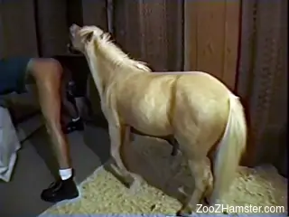 Pony fuck movie showing a subby zoophile lady