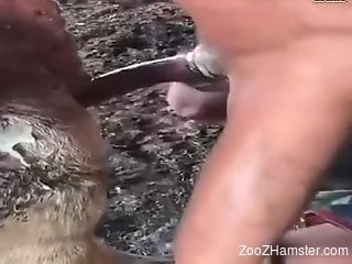 Pig pussy pounded brutally by a really kinky mofo