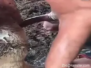 Pig pussy pounded brutally by a really kinky mofo