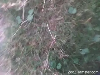 Hot uncut cock produces a very tasty fucking load