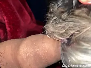 Dude is going to make the beast eat his cum hard