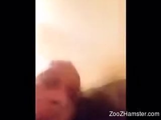 Dude cannot stop sucking off dogs and getting off