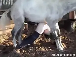 White horse penetrating his juicy asshole too