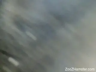 Hot pussy of a horny beast is going to get rammed
