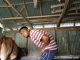 Dude finds a perfect animal to fuck and fucks it