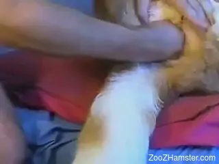 Dude is going to fist the fucking beast deep