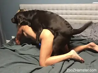 Hot lady with a firm booty screwed by a black dog