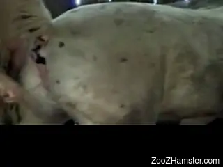 Dude is going to fuck a mare pussy brutally today