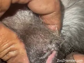 Naked man craves this furry dog's tiny pussy for loud sex