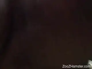 Naked man fucks animal in the pussy and records the scenes
