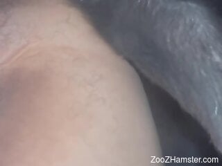 Closeup home zoophilia with a man and his dog