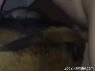 Nude man sticks whole penis in a tight animal pussy
