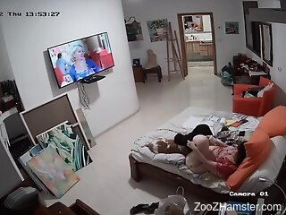 Aroused wife filmed in secret masturbating with her dog