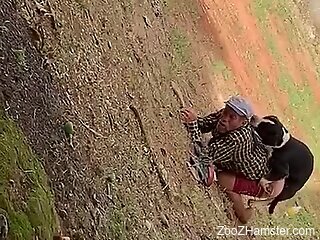 Clothed old man filmed in a field getting laid with a dog