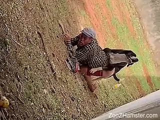 Clothed old man filmed in a field getting laid with a dog