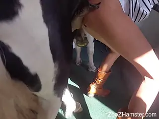 Nude woman feels entire horse dick in her wet muff