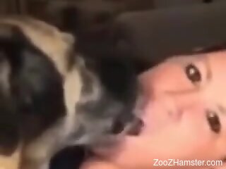 Aroused women and their dogs in a sexy compilation