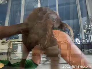 Sexy blonde receives extra large dong in the pussy while on cam