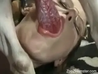Amateur woman filmed throating a tasty dog dick like a whore
