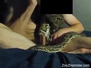 Intriguing moments when a dude tries his python for sex