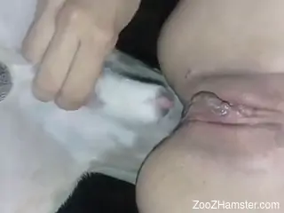 Nude female feels entire dog penis slamming her holes