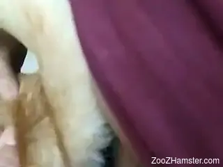 Dog fucks woman's tight pussy and finishes inside her