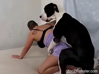 Busty mature female tries tasty dog dick in her cunt