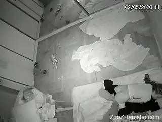 Amateur babe filmed in secret when fucking with her dog