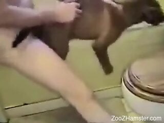 Man loudly fucks his small dog in brutal zoophilia