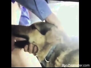 Aroused man loves pushing his cock so deep in the dog's mouth