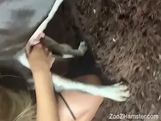 Fine woman tries dog for naughty porn on cam