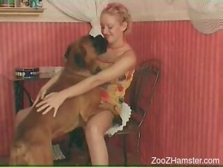 Insolent blonde woman tries unique sex perversions with her dog