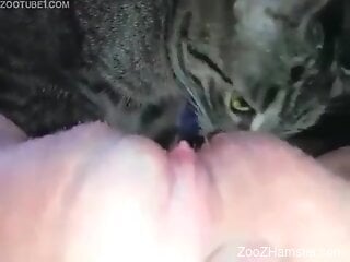 Small cat licks woman's wet pussy and clit in home XXX