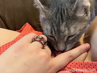 Cat licks woman's fresh pussy in amazing nude perversions
