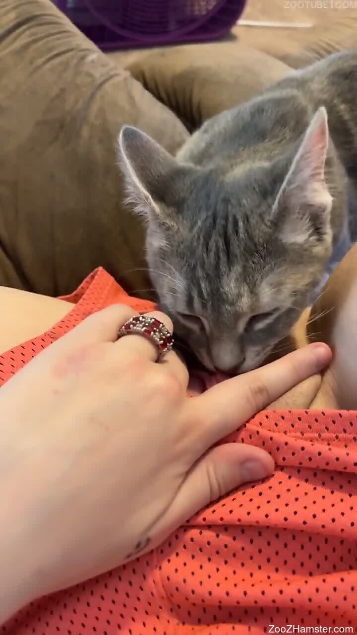 Cat licks womans fresh pussy in amazing nude perversions