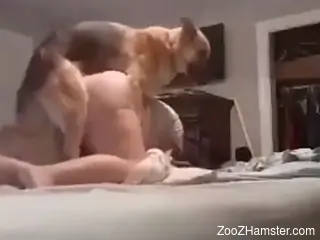 Amateur woman with fat ass gets her pussy slammed by the dog