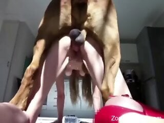 Dog fucks naked woman in the pussy and ass until she comes