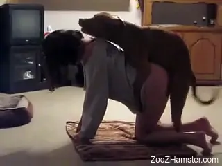 Homemade zoophilia dog sex shows half-naked woman in doggystyle