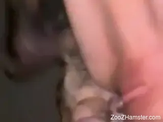 Nude woman filmed in great scenes when the dog tears her pussy