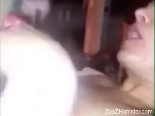 Naked female blows her dog's dick sloppy as fuck while on cam