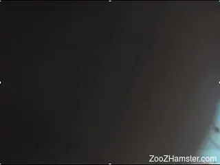 Homemade zoophilia grants amateur babe the best outcome
